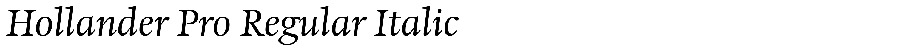 Hollander Pro Regular Italic